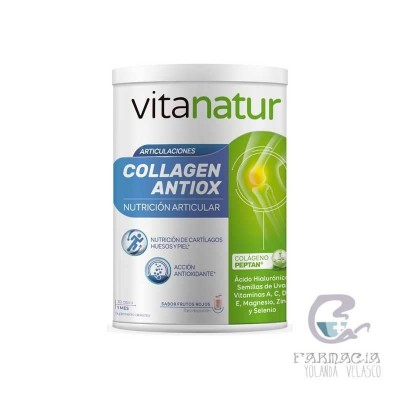 Vitanatur Collagen Antiox Plus 360 gr