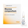 Mucosa Compositum 5 Ampollas 2,2 ml Heel