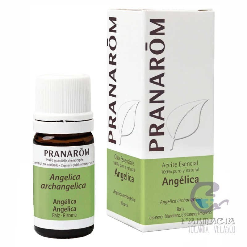 Pranarom Aceite Esencial Angelica 5 ml