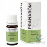 Pranarom Aceite Esencial Angelica 5 ml