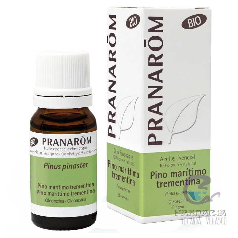 Pranarom Pino Marítimo Bio 10 ml