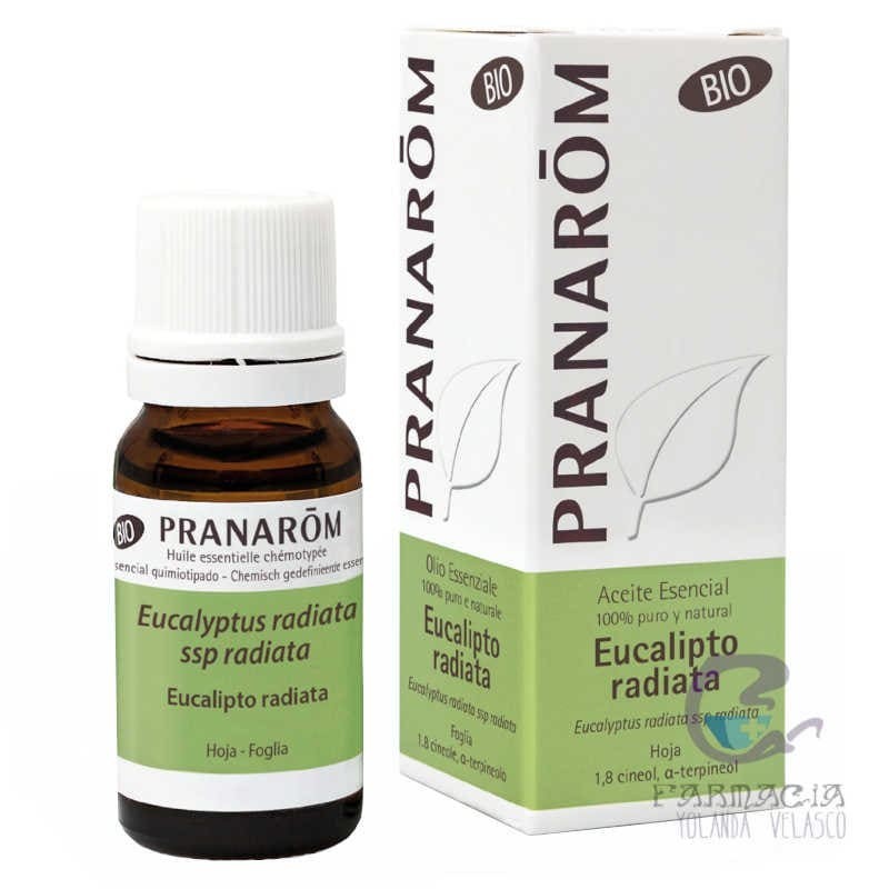 Pranarom Aceite Esencial Eucalipto Radiata Bio