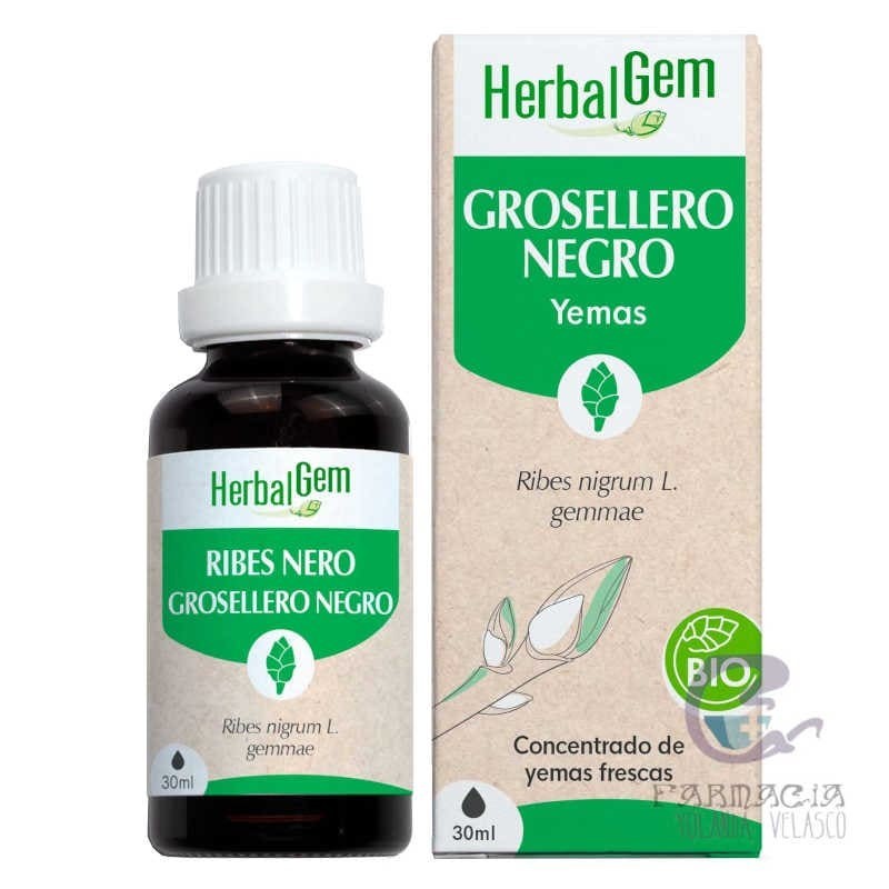 Herbalgem Groserello Negro Bio 15 ml