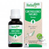 Herbalgem Groserello Negro Bio 15 ml