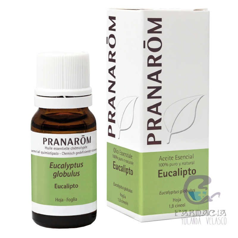 Pranarom Aceite Esencial Eucalipto 10 ml