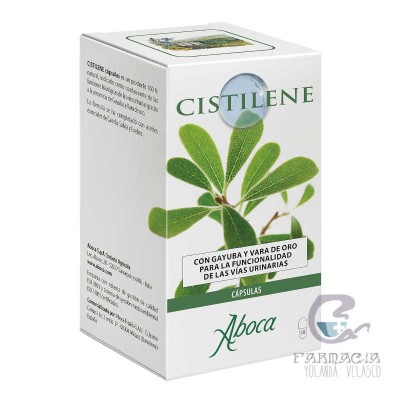Cistilene 50 Cápsulas
