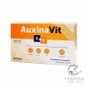 Auxinavit A+E 20 Cápsulas Blandas