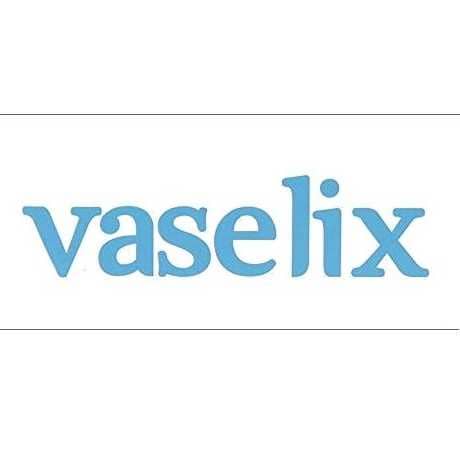 vaselix logo